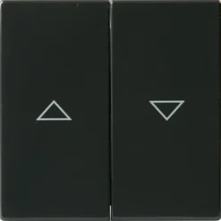 Kaksipainikkeinen kytkin