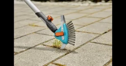 Kivitysten puhdistusharja