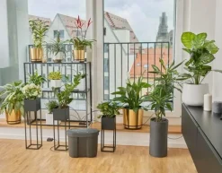 Lomakastelusarja ja vesisäiliö