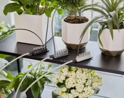 Lomakastelusarja ja vesisäiliö