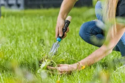 Rikkaruoho-/voikukkarauta