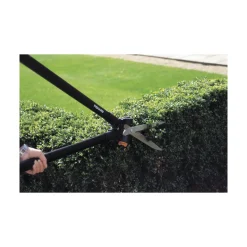 Ruoho- ja pensassakset