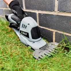 Ruoho- ja pensassakset