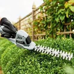 Ruoho- ja pensassakset