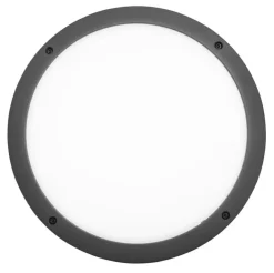 Seinä- ja kattovalaisin