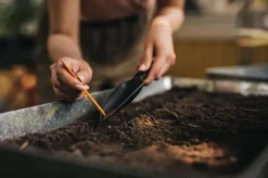 Siementen istutuslapio