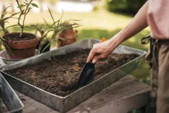 Siementen istutuslapio