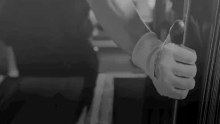 Viiltosuojakäsineet