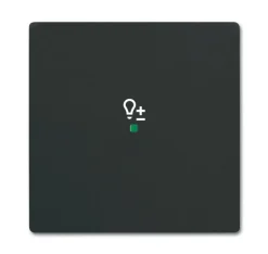 Yksiosainen vipupainike