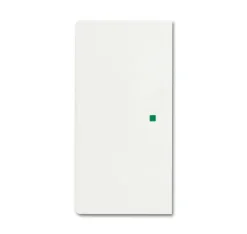 Yksiosainen vipupainike