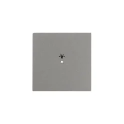 Yksiosainen vipupainike