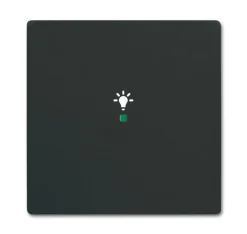 Yksiosainen vipupainike