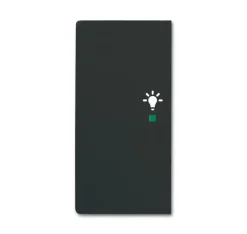 Yksiosainen vipupainike